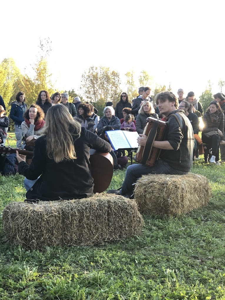 Campo dei Girasoli-3