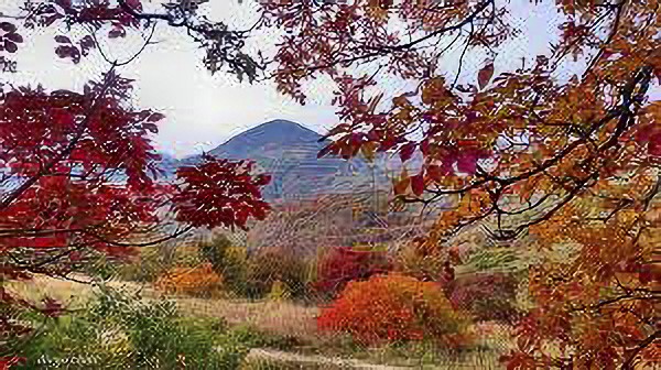 Foliage-Colli-Euganei