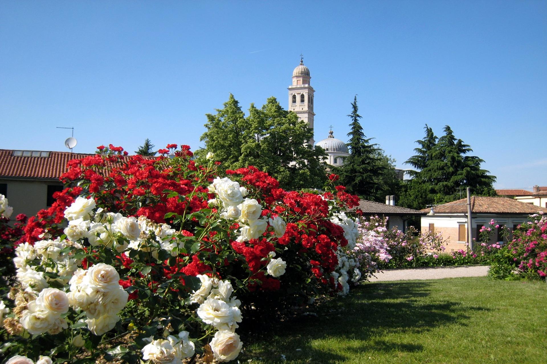 Rose-Garden-of-Santa-Giustina
