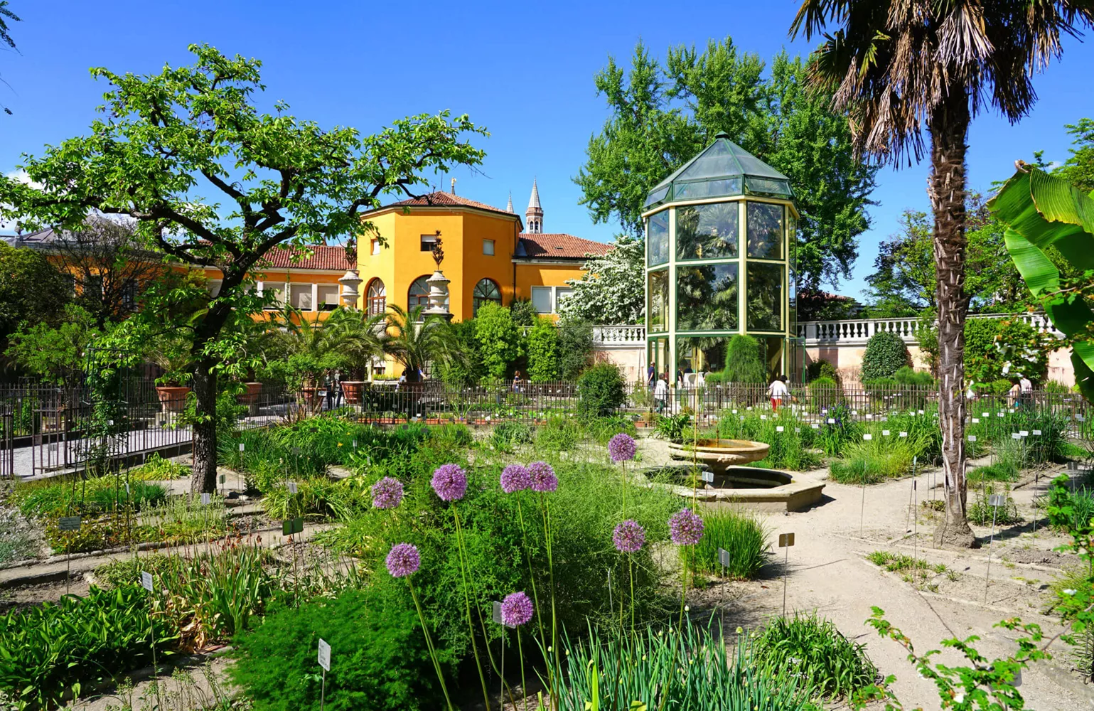 Veneto Padova Orto Botanico