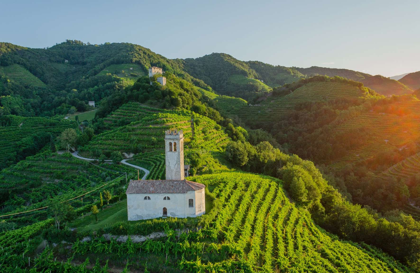 Veneto colline prosecco