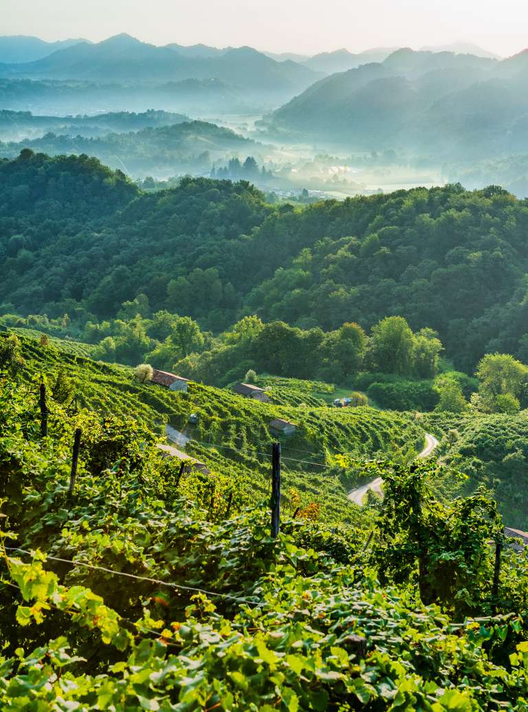 Veneto, le colline del prosecco nel trevigiano