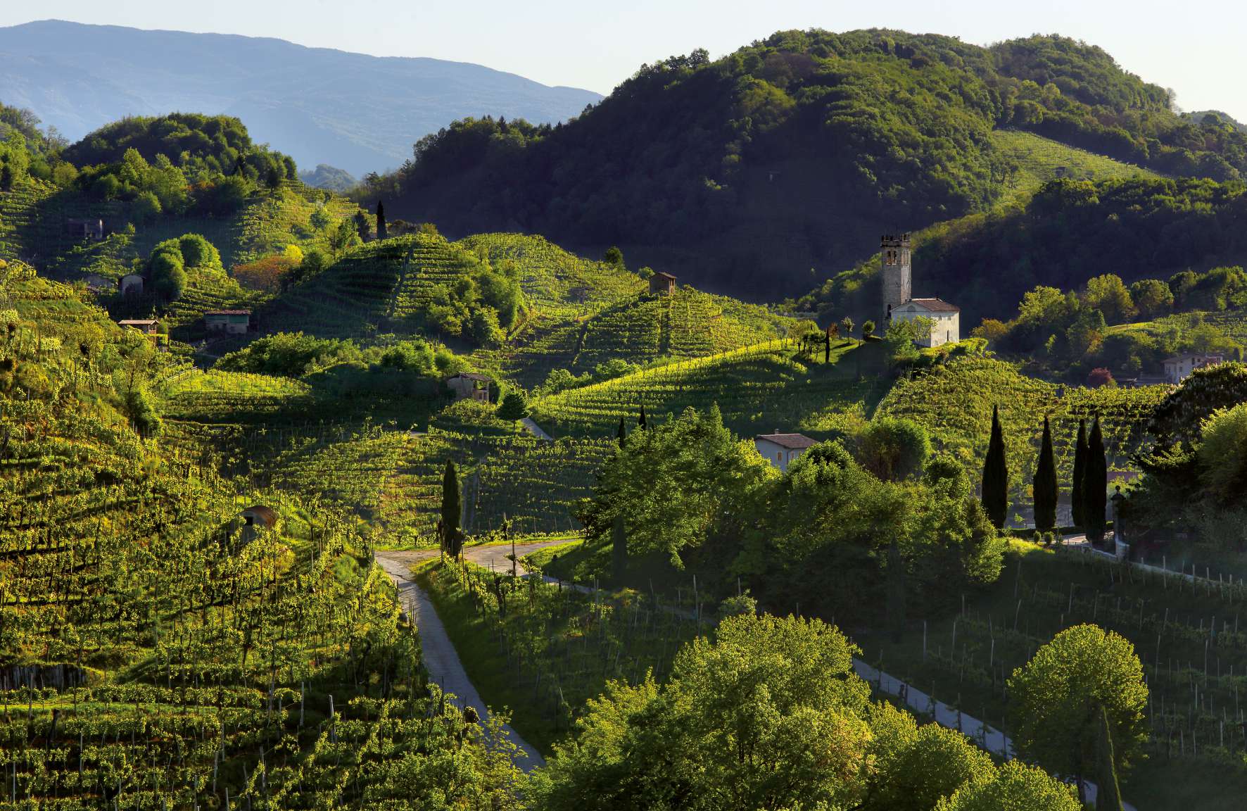 Veneto, le colline del prosecco nel trevigiano