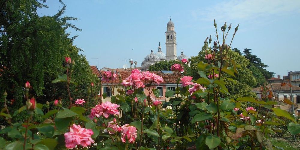 roseto_santa_giustina_padova